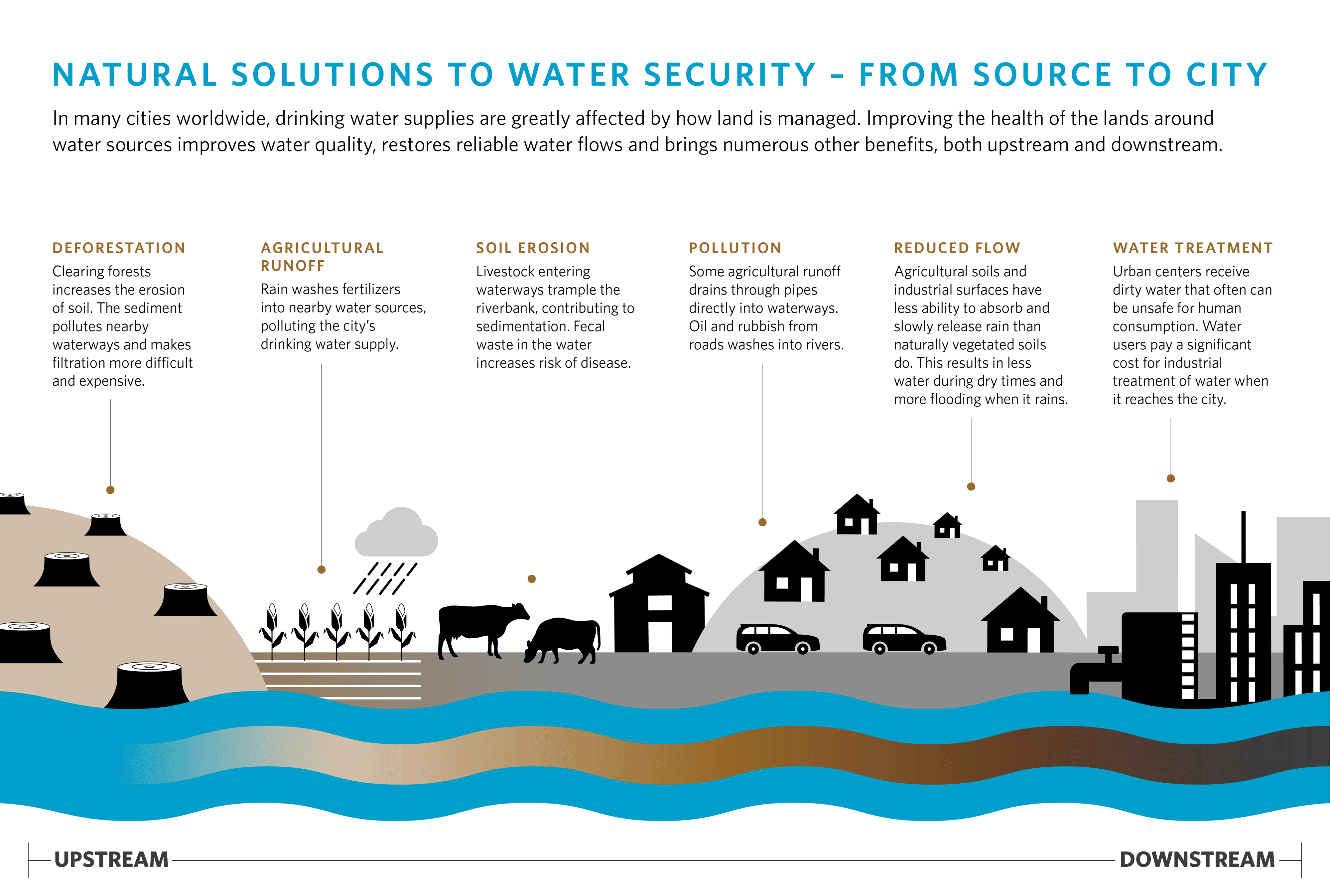 Infographic showing natural solutions to create a healthy watershed.