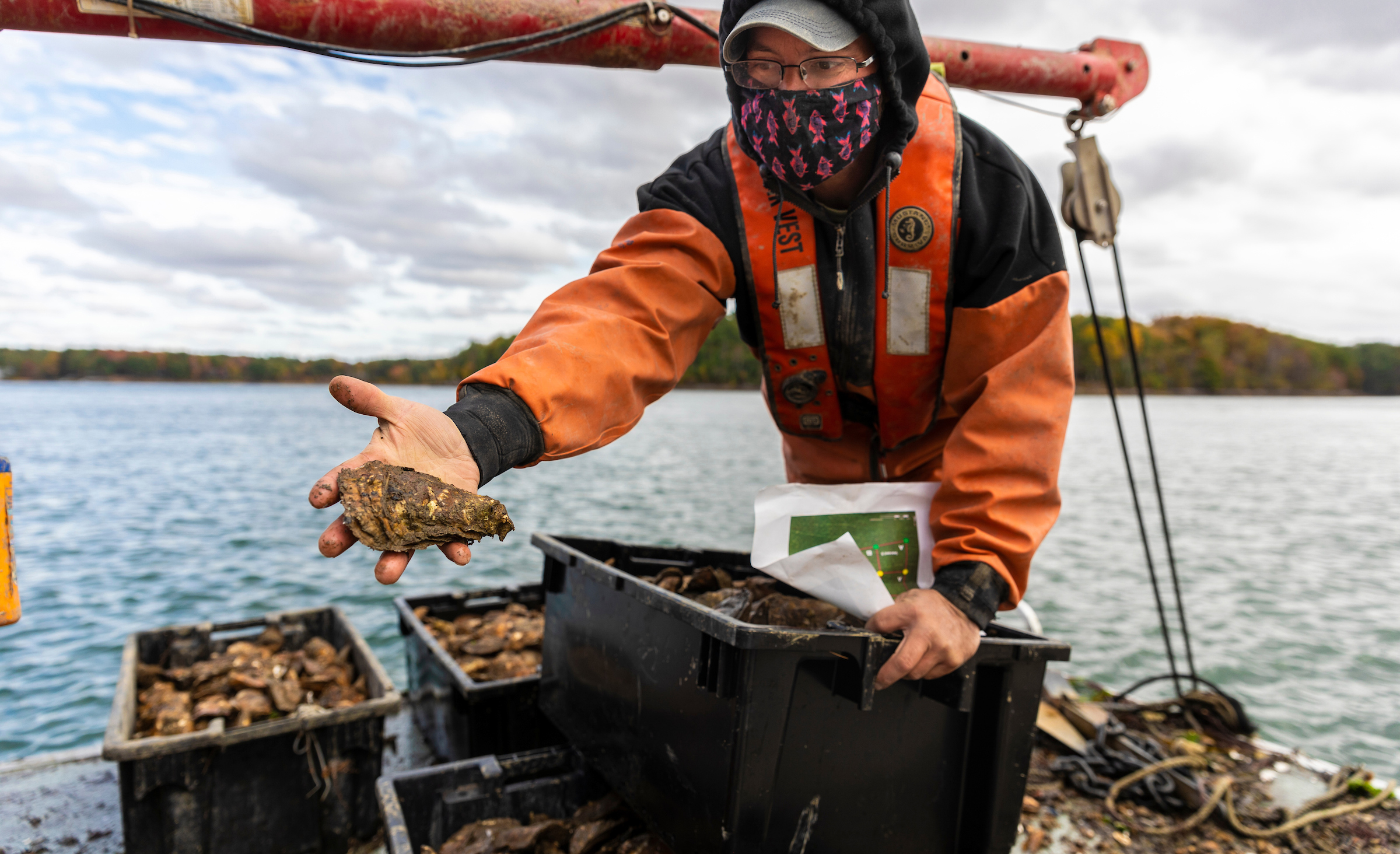 Brian Gennaco of Virgin Oyster Company holds an oyster out to the camera.