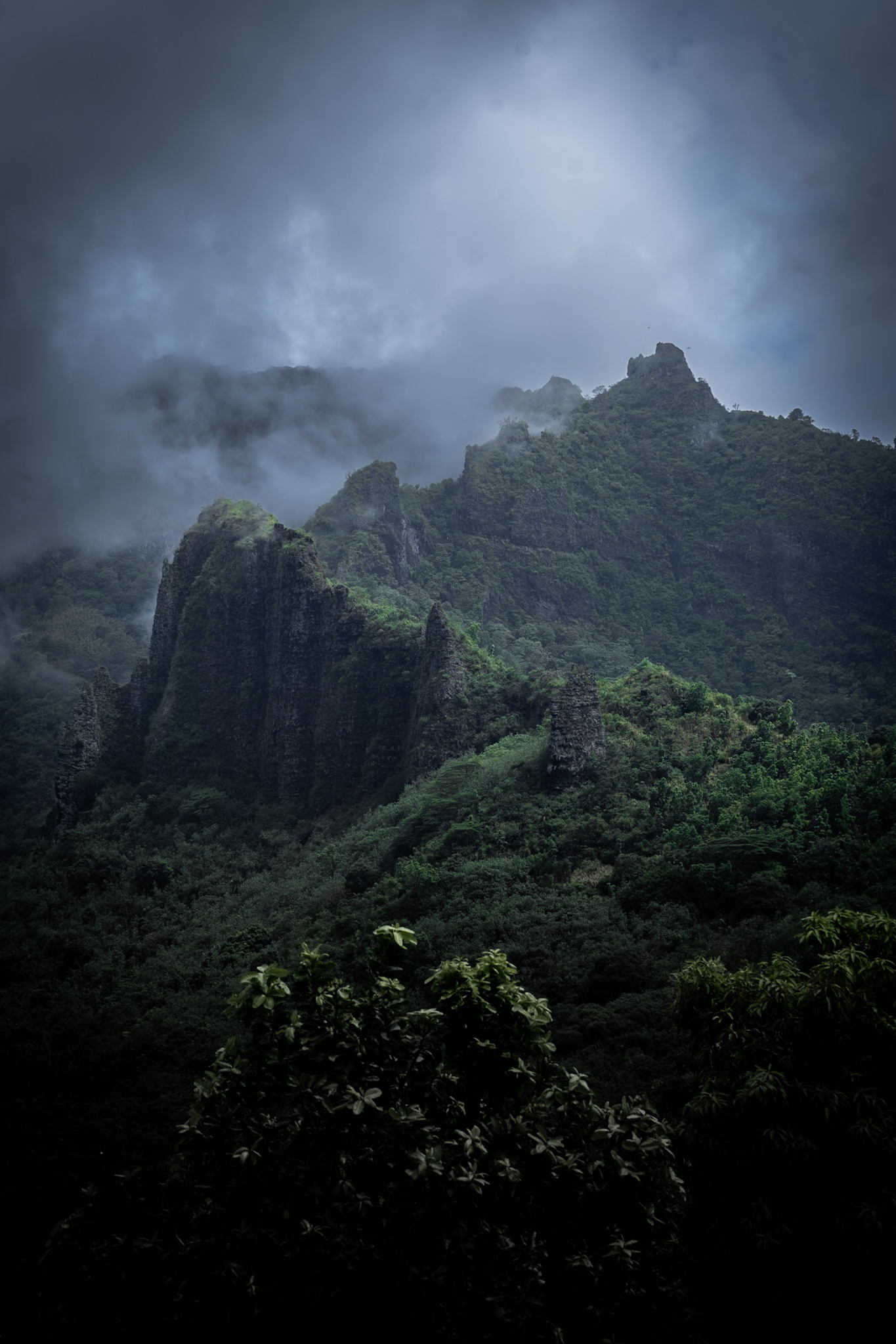 A moody shot of mist and cloud at the top of a dense dark green forest peak