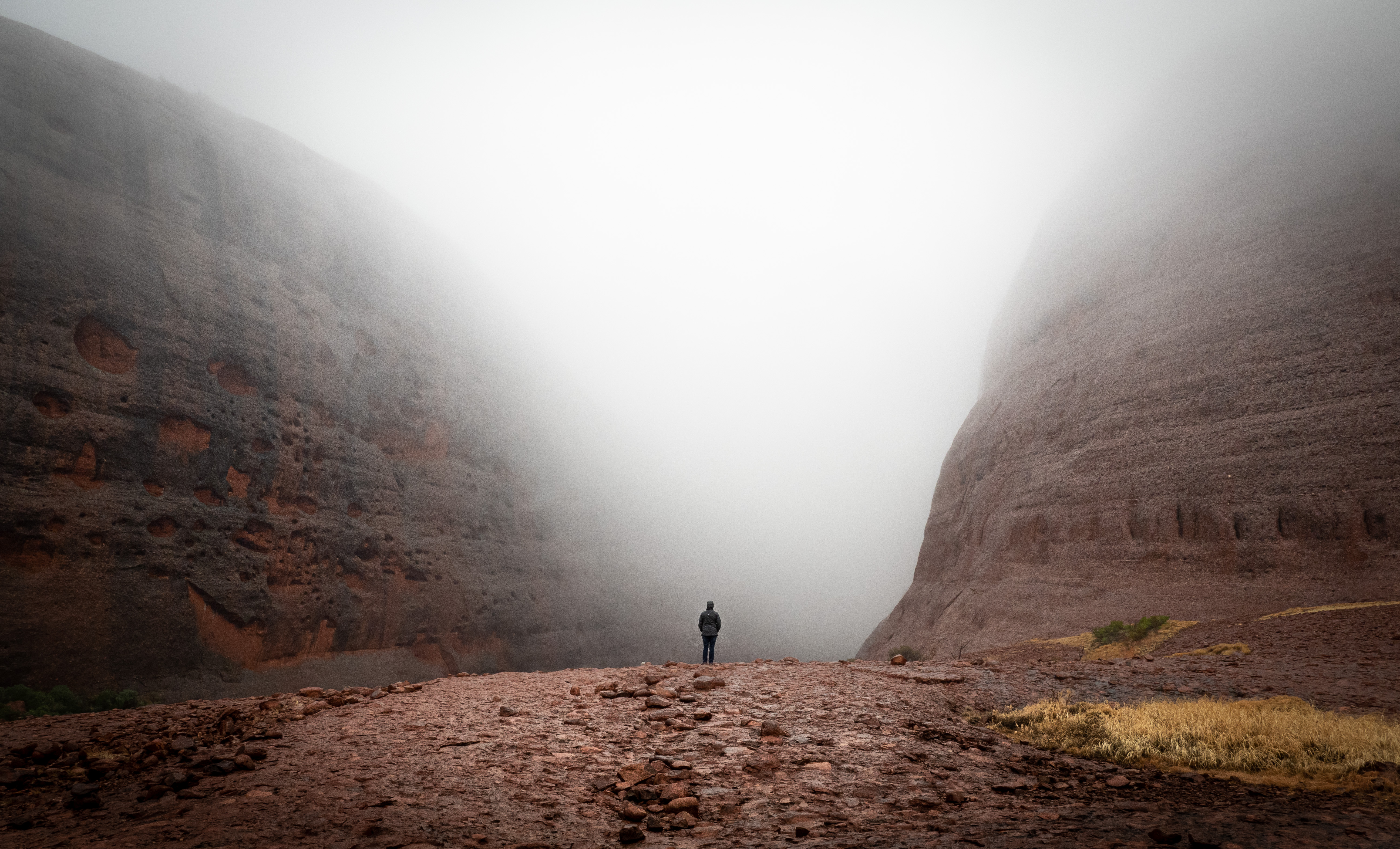 A person in the distance looking into the mist that sits between two ancient rock formations. The mist is dense and eerie and you cannot see past it.