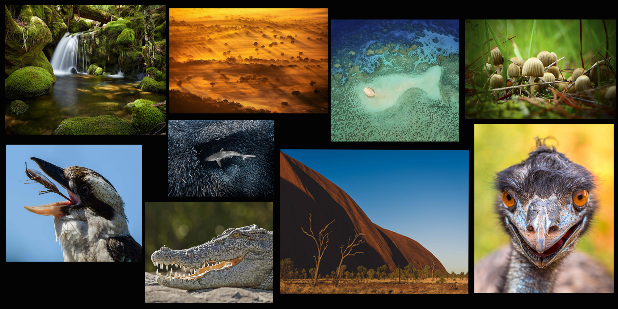 Collage of images from previous contest entrants from the Oceania region