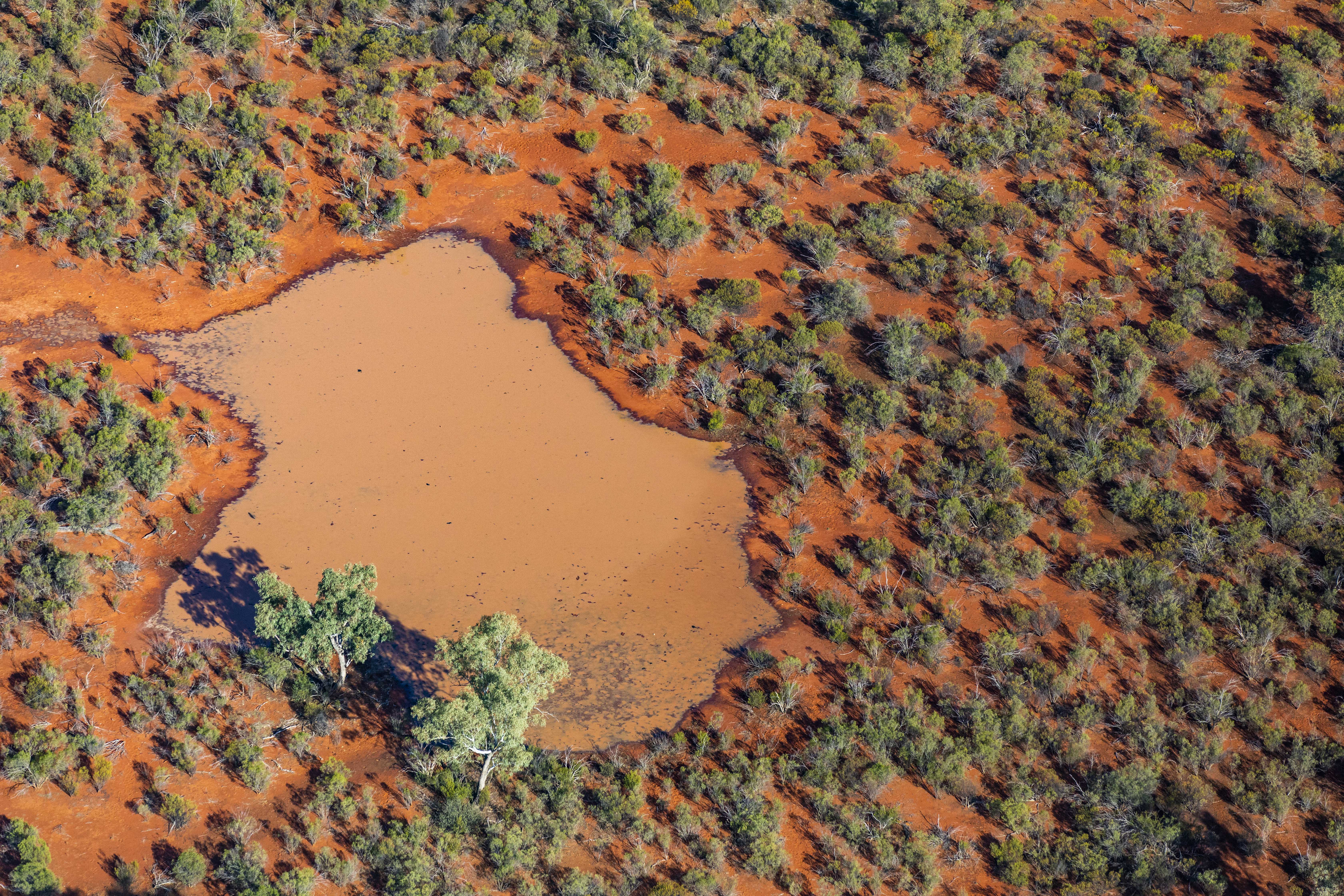 Aerial view of a part of Cuttaburra National Park