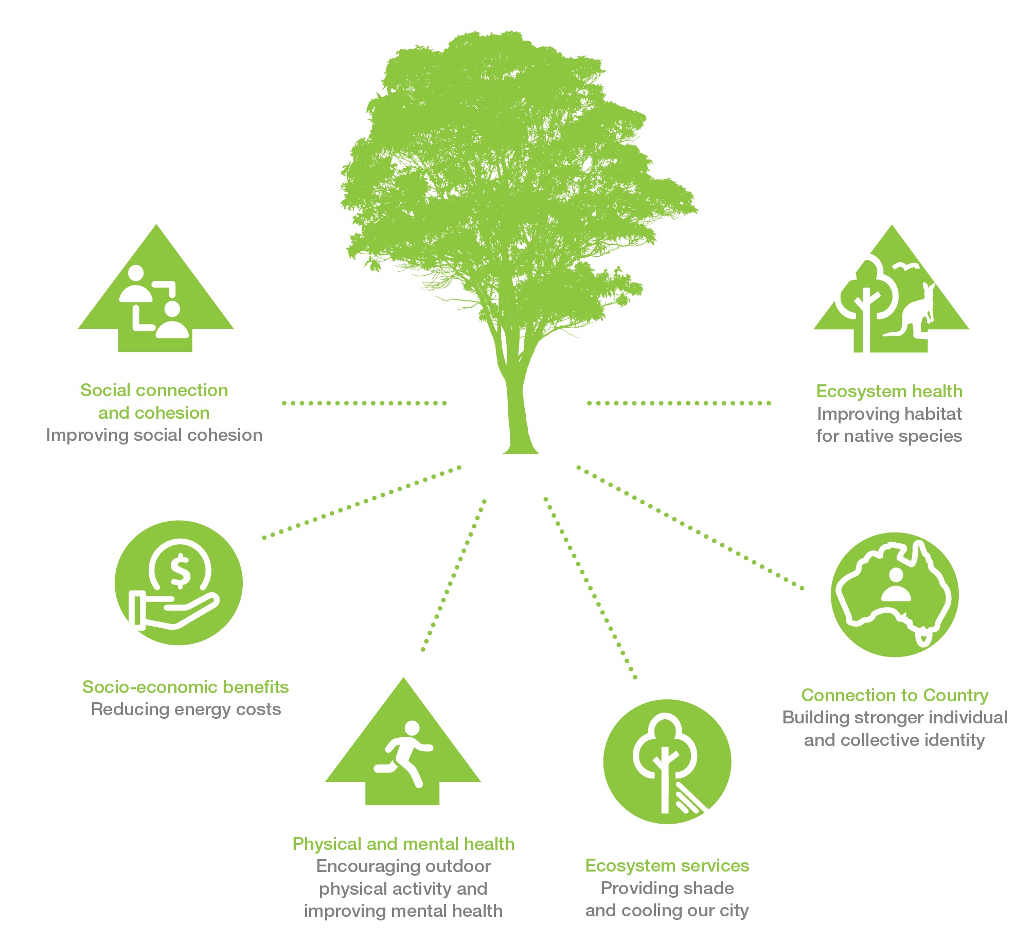 the benefits of trees 