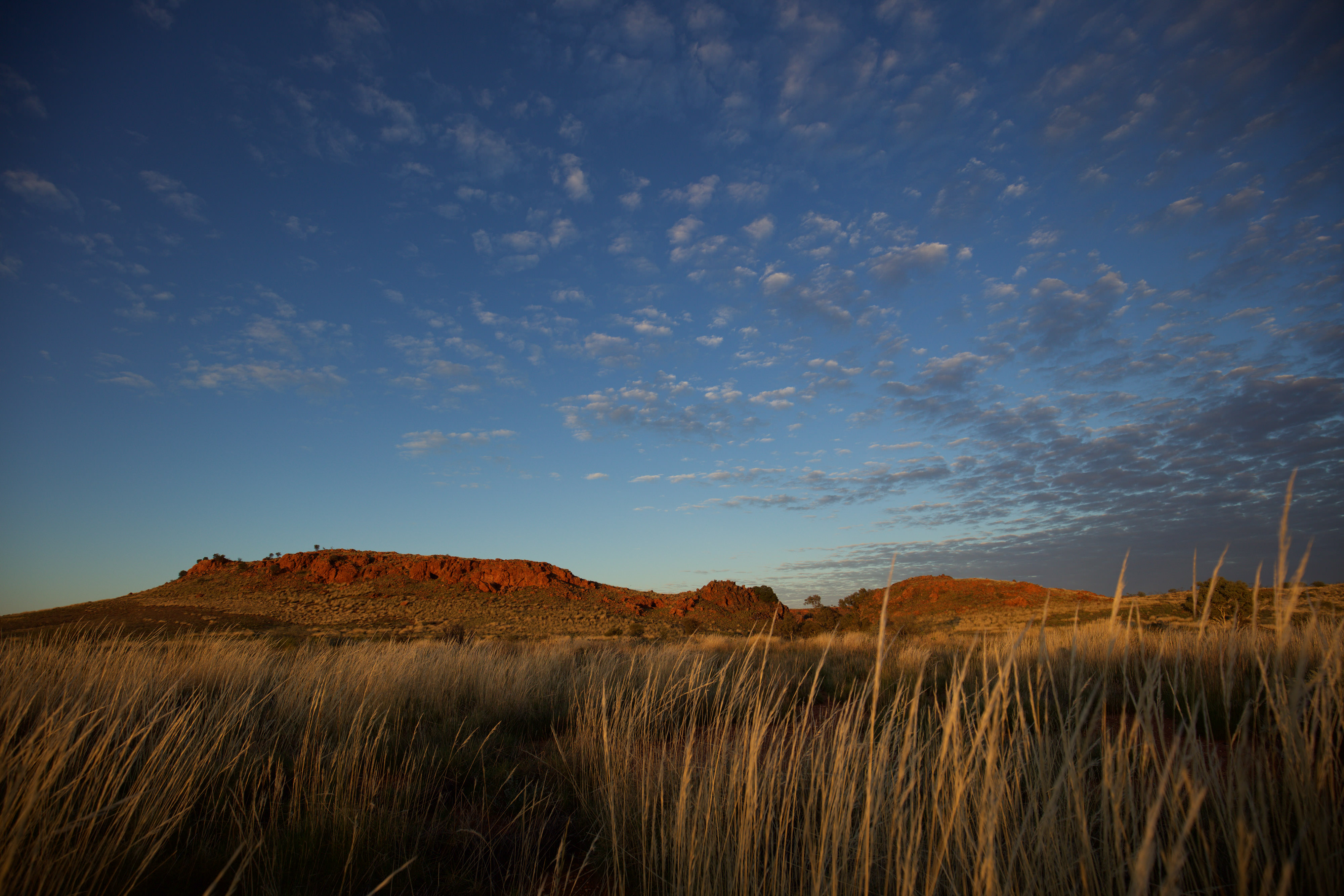 A desert under a darkening sky