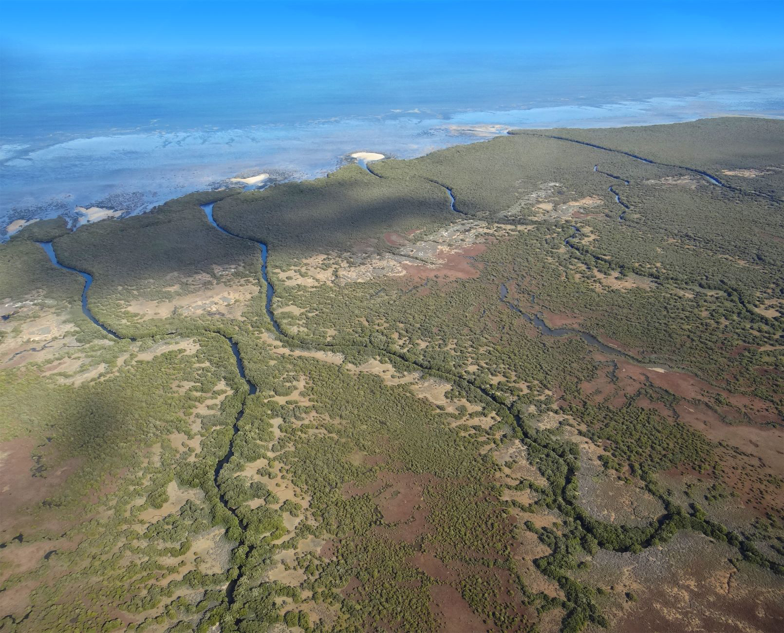 SA coastal wetlands