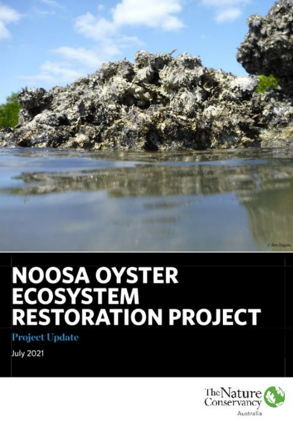 Noosa ecosystem restoration project