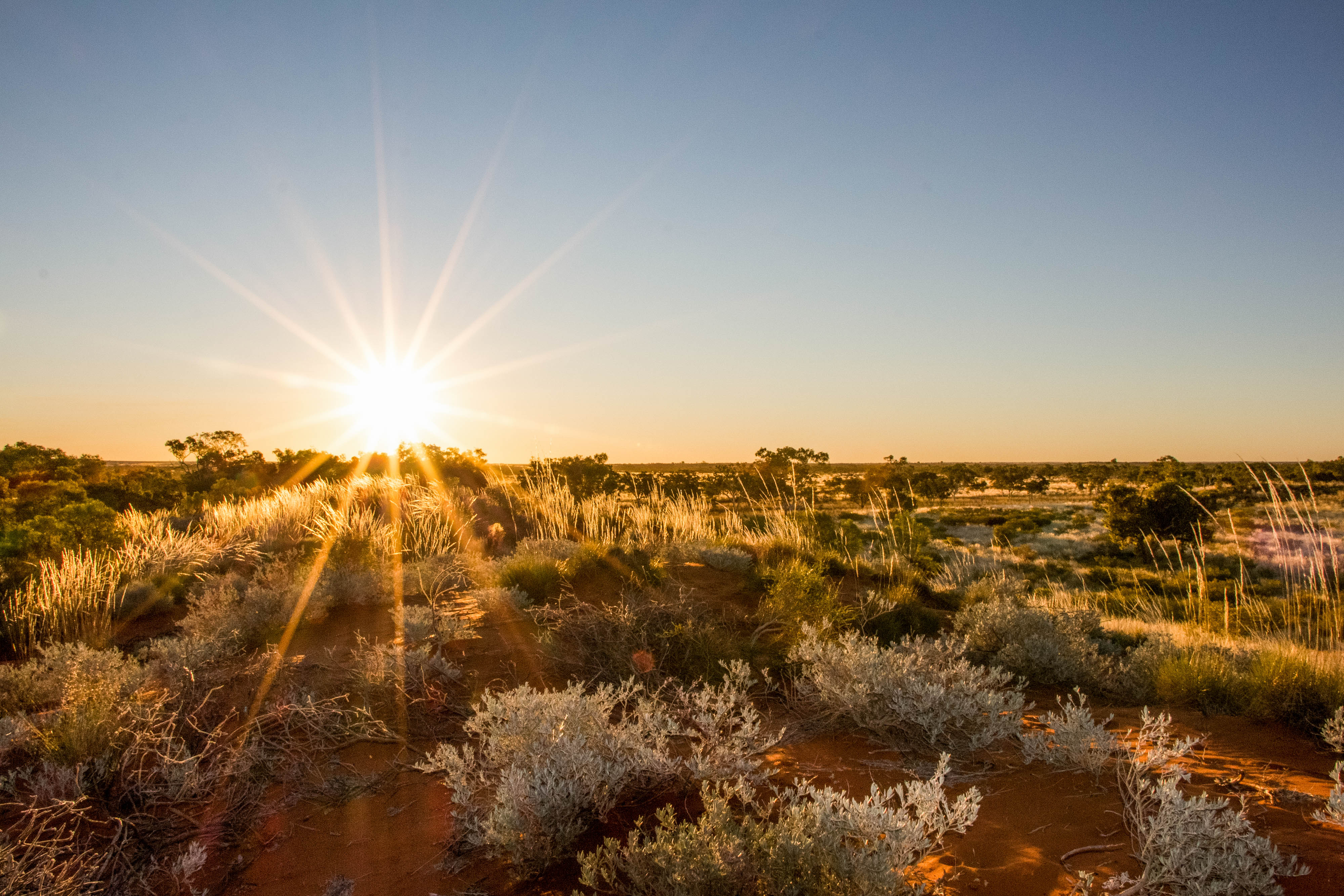 Arid land in Australia