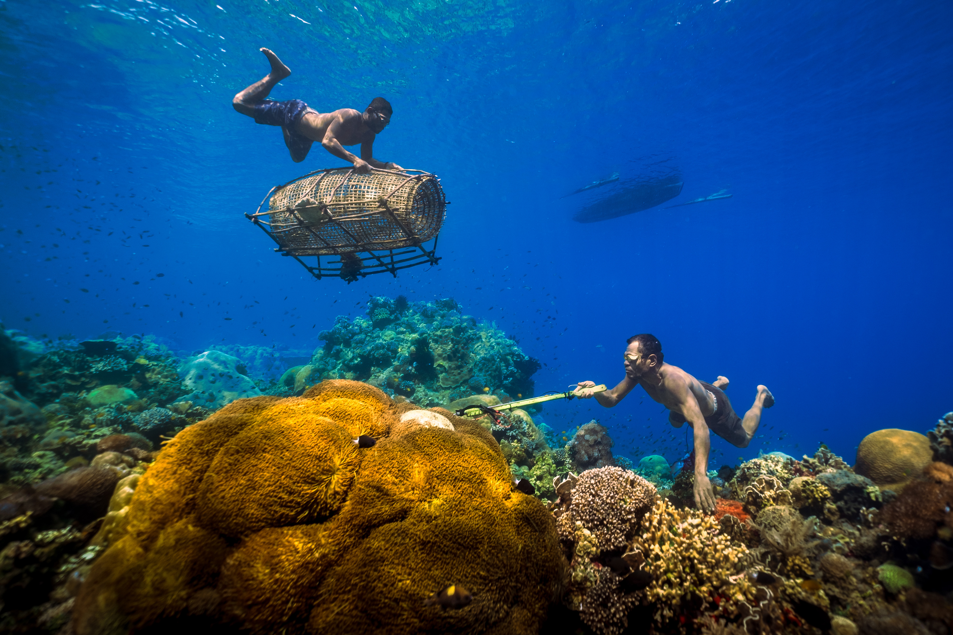 Two men free dive on a coral reef, floating in crystal blue water. One hold a large woven fish trap. The other uses a long grabbing device to catch sea creatures.
